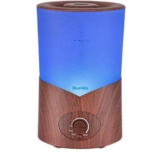 1000ML Humidifier Household Dual Hole Electric Air Diffuser Aroma Oil Humidifier